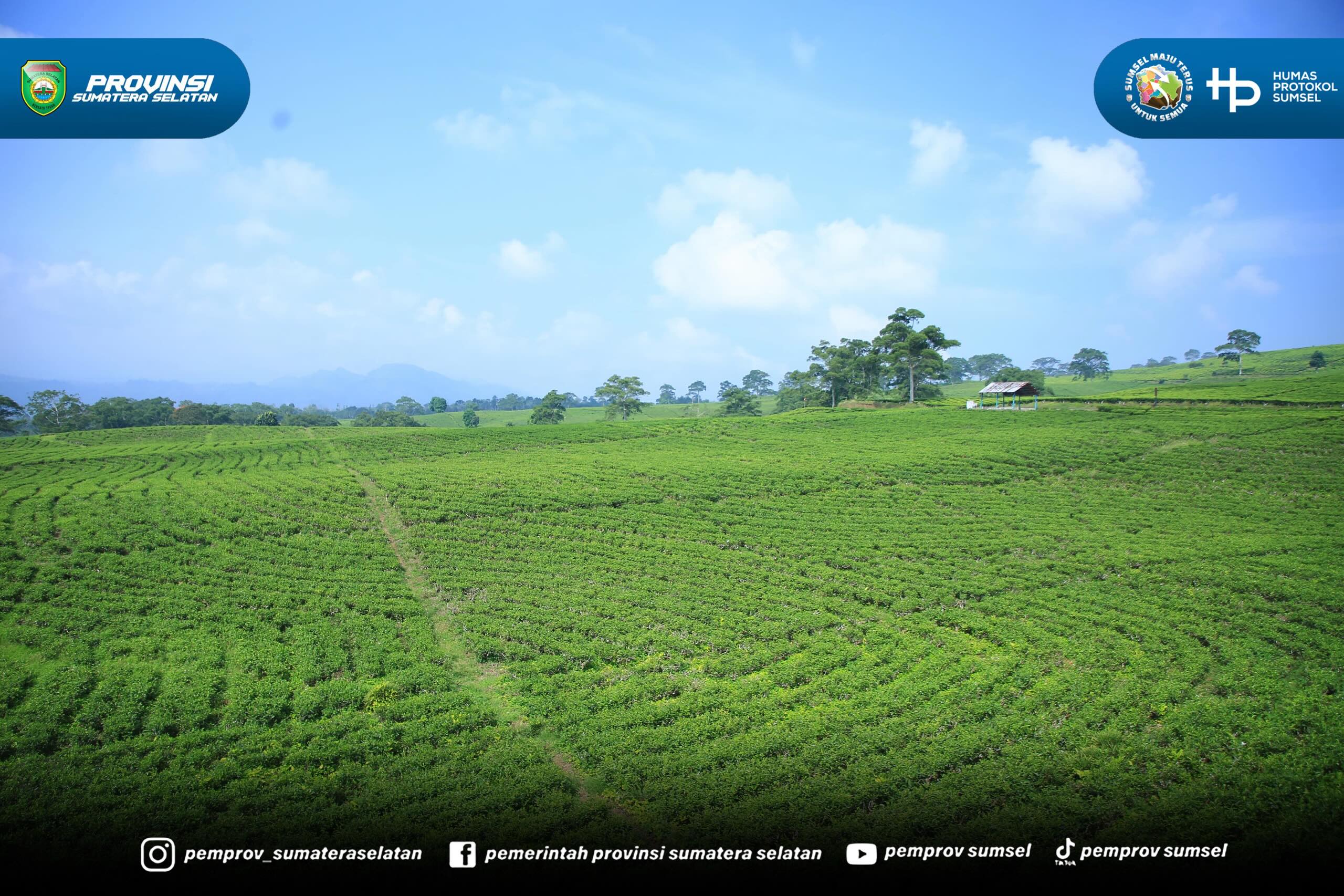 PAGAR ALAM — Gubernur Sumatera Selatan (Sumsel) Dr. H. Herman Deru menegaskan bahwa pengembangan wisata alam, khususnya di Kota Pagar Alam, harus tetap berlandaskan pada prinsip kelestarian lingkungan.