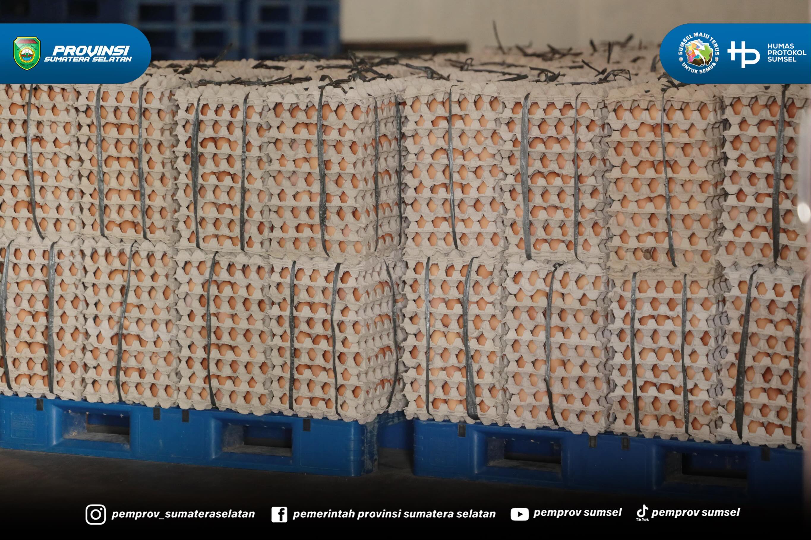 Banyuasin – Gubernur Sumatera Selatan (Sumsel) Dr. H. Herman Deru meninjau San San Farm, peternakan ayam yang berlokasi di Jalan Pangkalan Benteng, Sukomoro, Kabupaten Banyuasin, Selasa (30/6/2026). Kunjungan tersebut merupakan bagian dari rangkai...