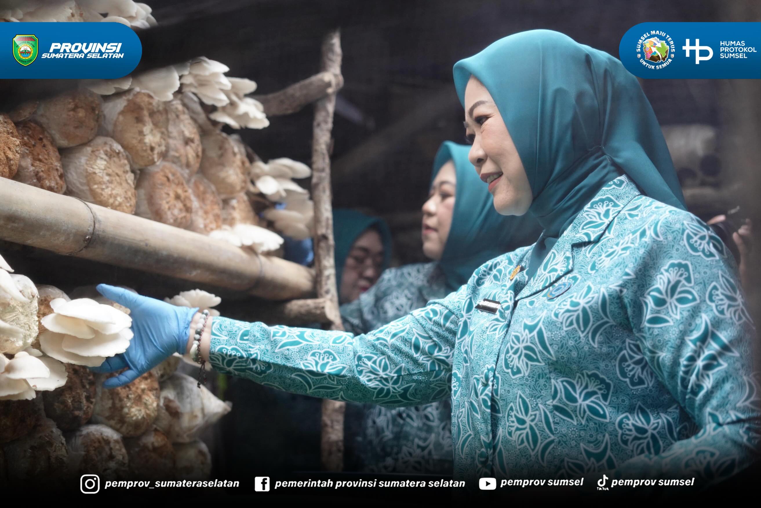 Ketua TP PKK Sumsel Feby Deru, hari ini, Selasa (30/06/26) mampir ke Sentra Jamur Tiram “Berkat Serasan” binaan TP PKK OKU Selatan.