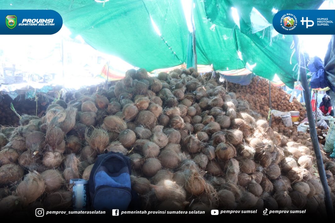 Palembang – Gubernur Sumatera Selatan (Sumsel) H. Herman Deru meninjau Eksplorasi Sultan Muda Sumsel bertempat di Dermaga Kelapa Musi II Palembang, Selasa (30/6/2026). Kunjungan ini untuk melihat aktivitas hilirisasi dan ekspor kelapa yang dikelol...