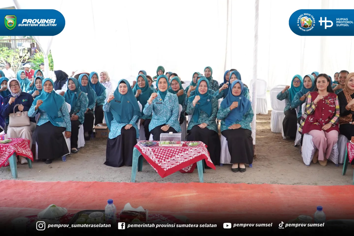 Buay Madang Timur, OKU Timur. Sinar matahari menyorot bedengan kembang kol putih bersih di Desa Tanjung Mas, Kecamatan Buay Madang Timur, OKU Timur. Di sela tanaman itu, Ketua TP PKK Sumsel Feby Deru berjongkok. Memetik. Memanen.