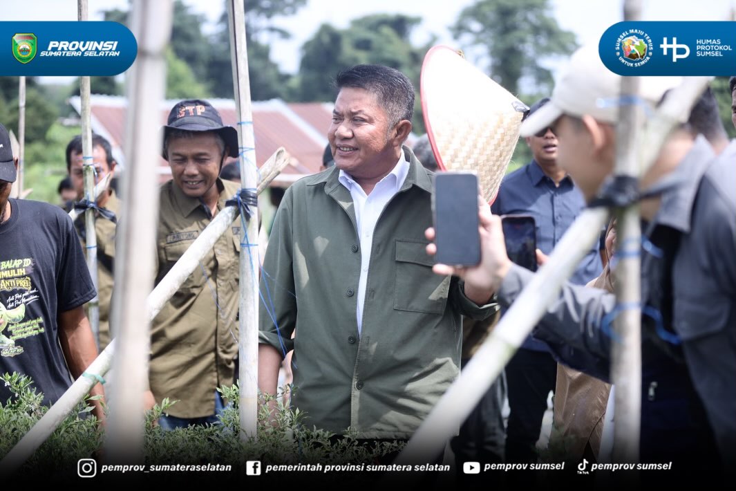 Ogan Ilir - Gubernur Sumsel Herman Deru terus mendorong penguatan sektor pertanian dan peternakan. Hal itu terlihat saat beliau meninjau Sriwijaya Science Techno Park (SSTP) pada Kamis (09/07/26), usai menanam pohon di Embung Konservasi Kebun Raya...