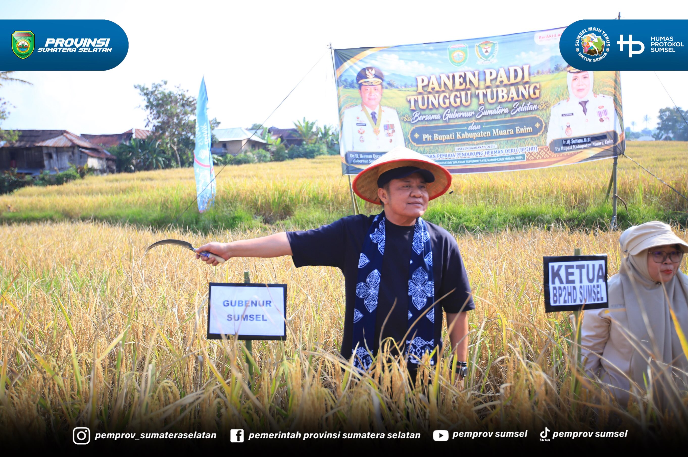 Muara Enim – Gubernur Sumatera Selatan (Sumsel) Dr. H. Herman Deru mendorong peningkatan produktivitas padi varietas khas Semende, Kabupaten Muara Enim, melalui inovasi teknologi pertanian. Salah satu upaya yang didorong adalah memperpendek masa t...