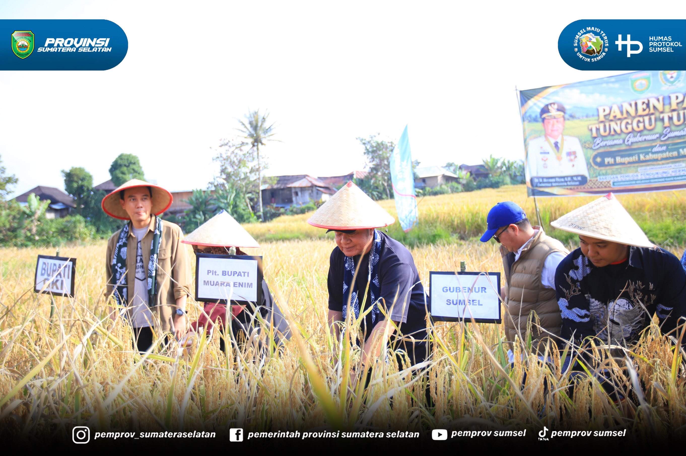 Muara Enim – Gubernur Sumatera Selatan (Sumsel) Dr. H. Herman Deru mendorong peningkatan produktivitas padi varietas khas Semende, Kabupaten Muara Enim, melalui inovasi teknologi pertanian. Salah satu upaya yang didorong adalah memperpendek masa t...