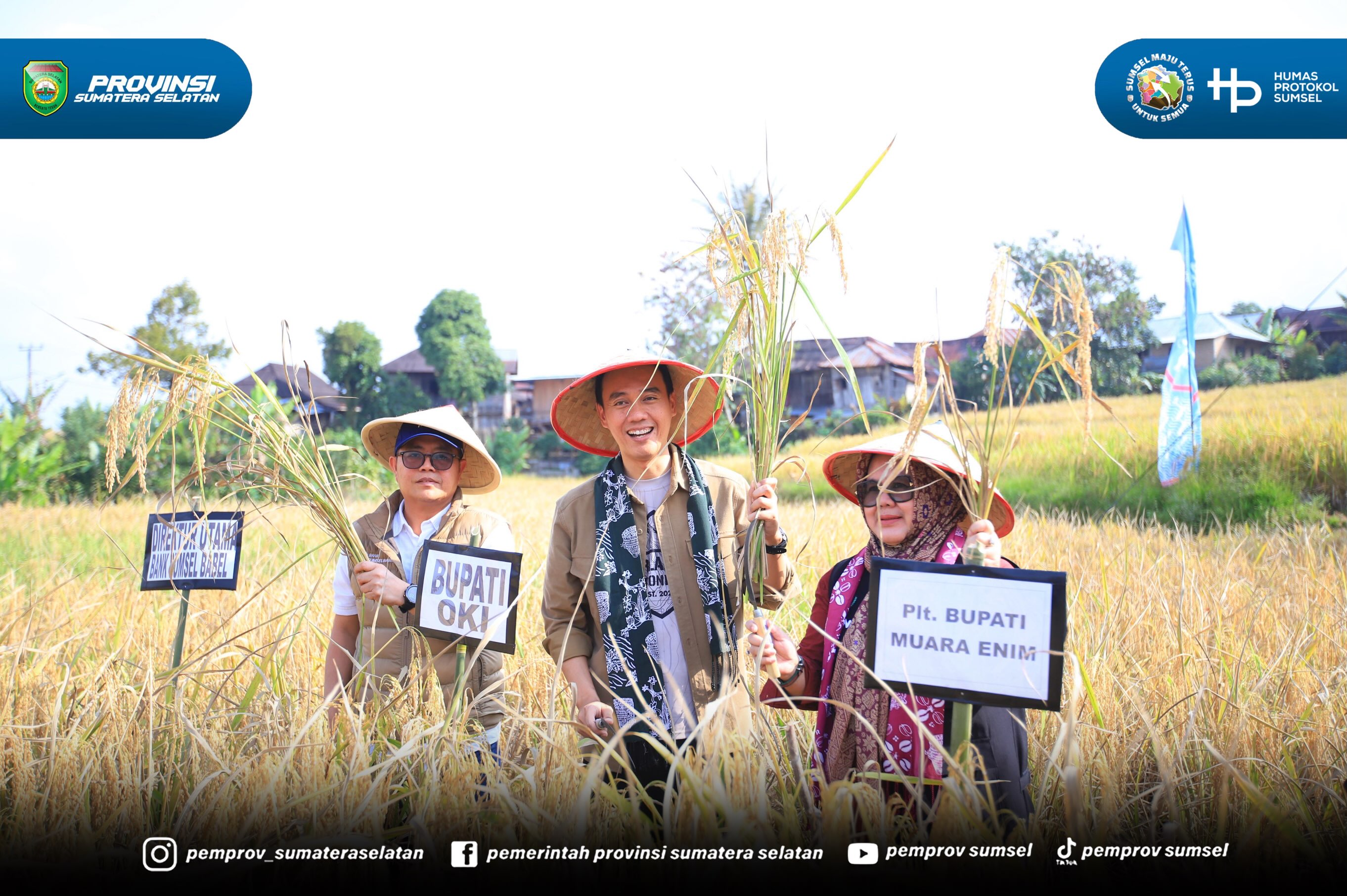 Muara Enim – Gubernur Sumatera Selatan (Sumsel) Dr. H. Herman Deru mendorong peningkatan produktivitas padi varietas khas Semende, Kabupaten Muara Enim, melalui inovasi teknologi pertanian. Salah satu upaya yang didorong adalah memperpendek masa t...
