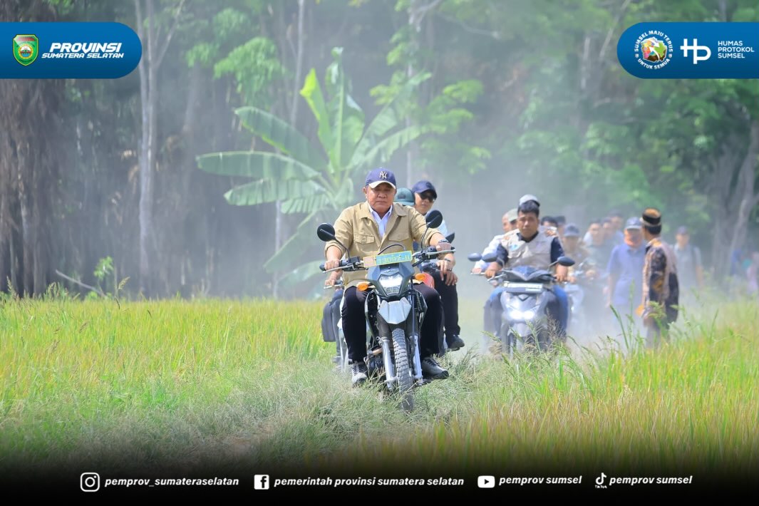Ogan Ilir - Gubernur Provinsi Sumatera Selatan Herman Deru, secara resmi memimpin jalannya Panen Raya IP 200 seluas 3.194 hektar di Desa Suka Cinta, Kecamatan Muara Kuang, Kabupaten Ogan Ilir, pada Rabu (5/8/2026).