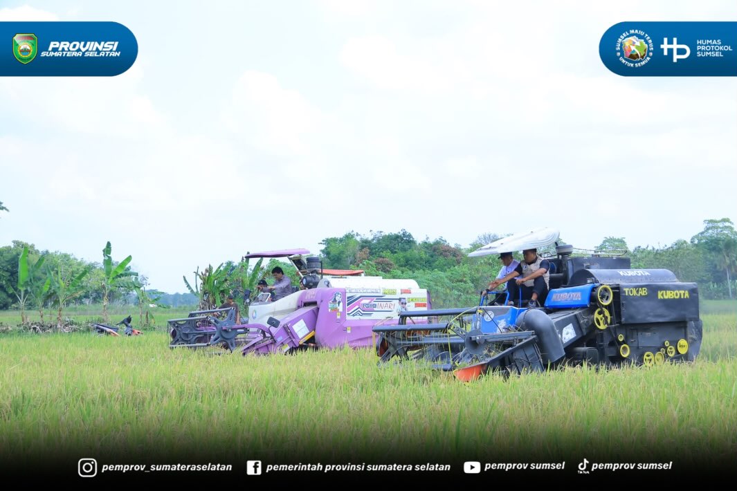 Ogan Ilir - Gubernur Provinsi Sumatera Selatan Herman Deru, secara resmi memimpin jalannya Panen Raya IP 200 seluas 3.194 hektar di Desa Suka Cinta, Kecamatan Muara Kuang, Kabupaten Ogan Ilir, pada Rabu (5/8/2026).