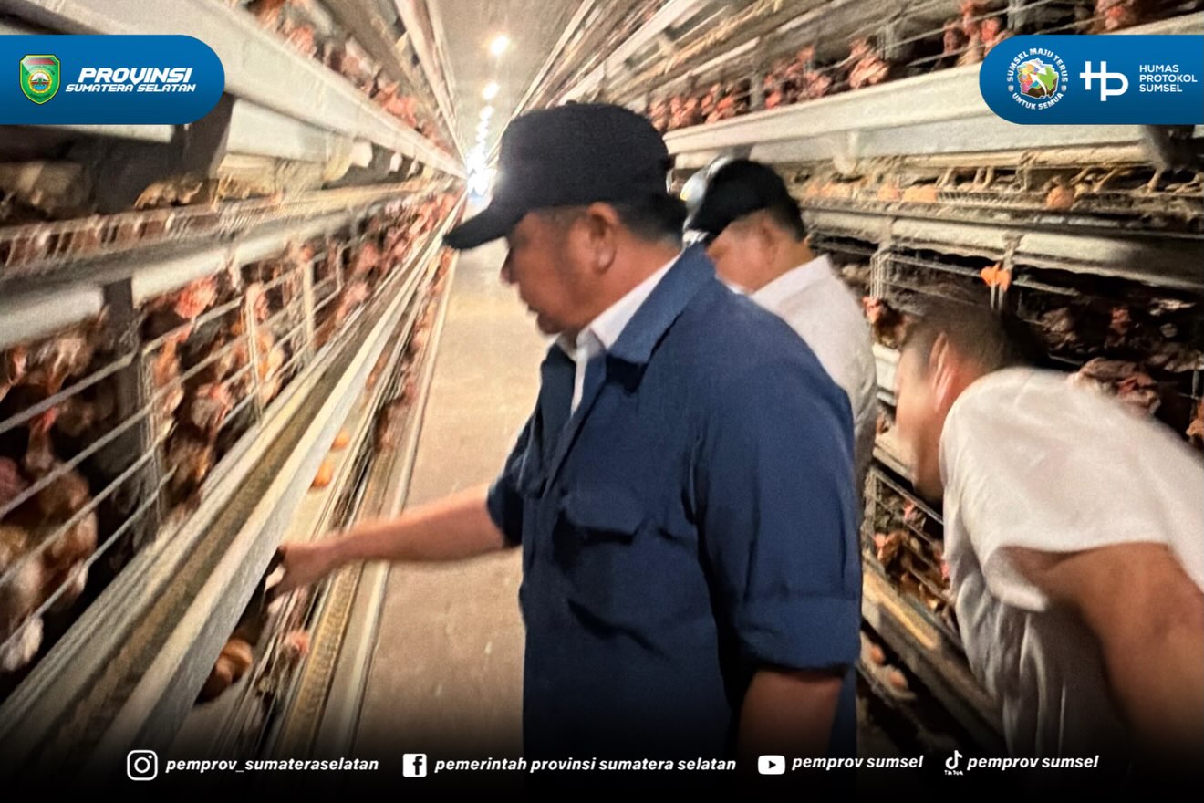 Banyuasin - Gubernur Sumatera Selatan (Sumsel) H. Herman Deru mendampingi Kepala Staf Kepresidenan Jenderal TNI (Purn.) Dudung Abdurachman meninjau peternakan ayam petelur milik PT Banyuasin Mukut Inti, Kabupaten Banyuasin, Rabu (12/08/2026).