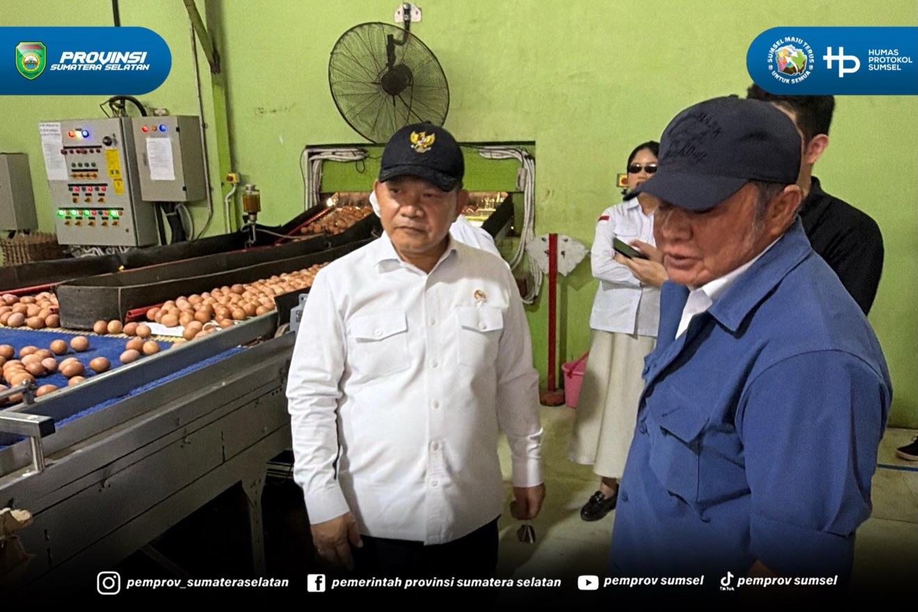 Banyuasin - Gubernur Sumatera Selatan (Sumsel) H. Herman Deru mendampingi Kepala Staf Kepresidenan Jenderal TNI (Purn.) Dudung Abdurachman meninjau peternakan ayam petelur milik PT Banyuasin Mukut Inti, Kabupaten Banyuasin, Rabu (12/08/2026).