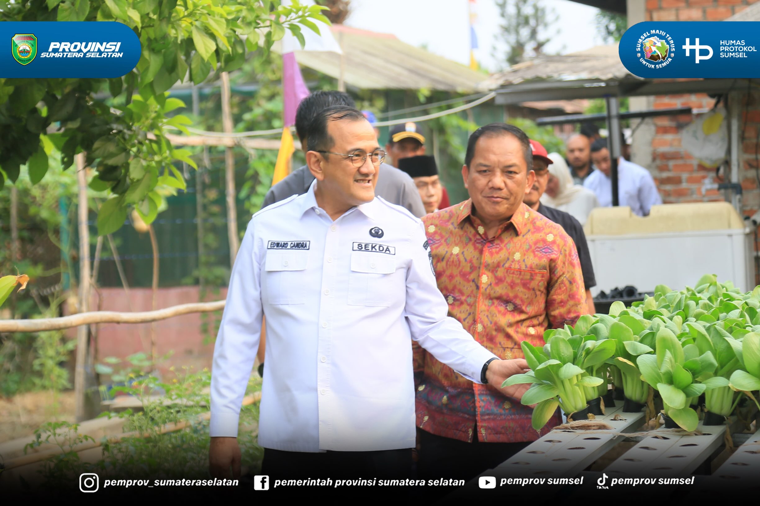 Palembang - Sekretaris Daerah Sumsel H. Edward Candra menyerahkan Bantuan GSMP Tahun 2026 di KWT Barokah Kecamatan Plaju Kota Palembang. Minggu (20/09/2026).
