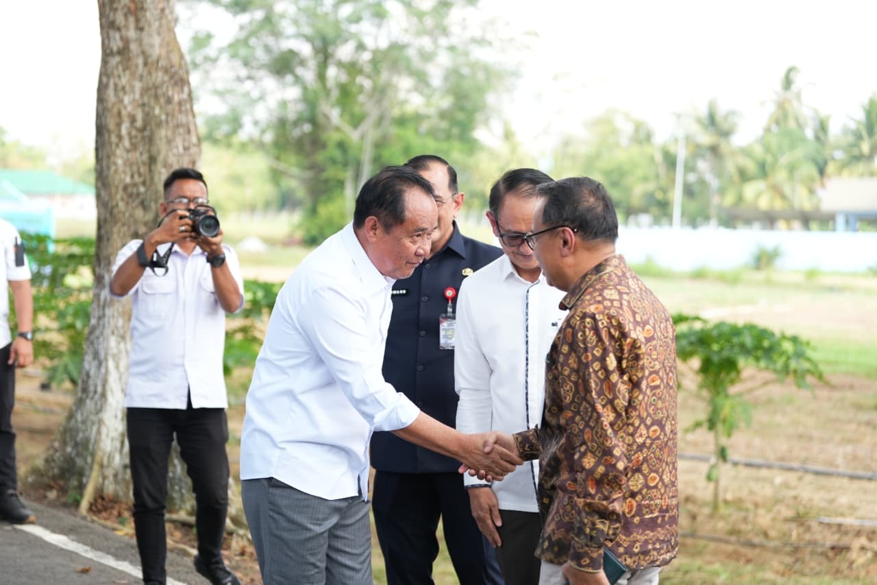 Perkuat Rantai Pasok Pangan dan Kelola Inflasi, Pemprov Sumsel Transformasikan GSMP Dukung Program Makan Bergizi Gratis - gambar 9