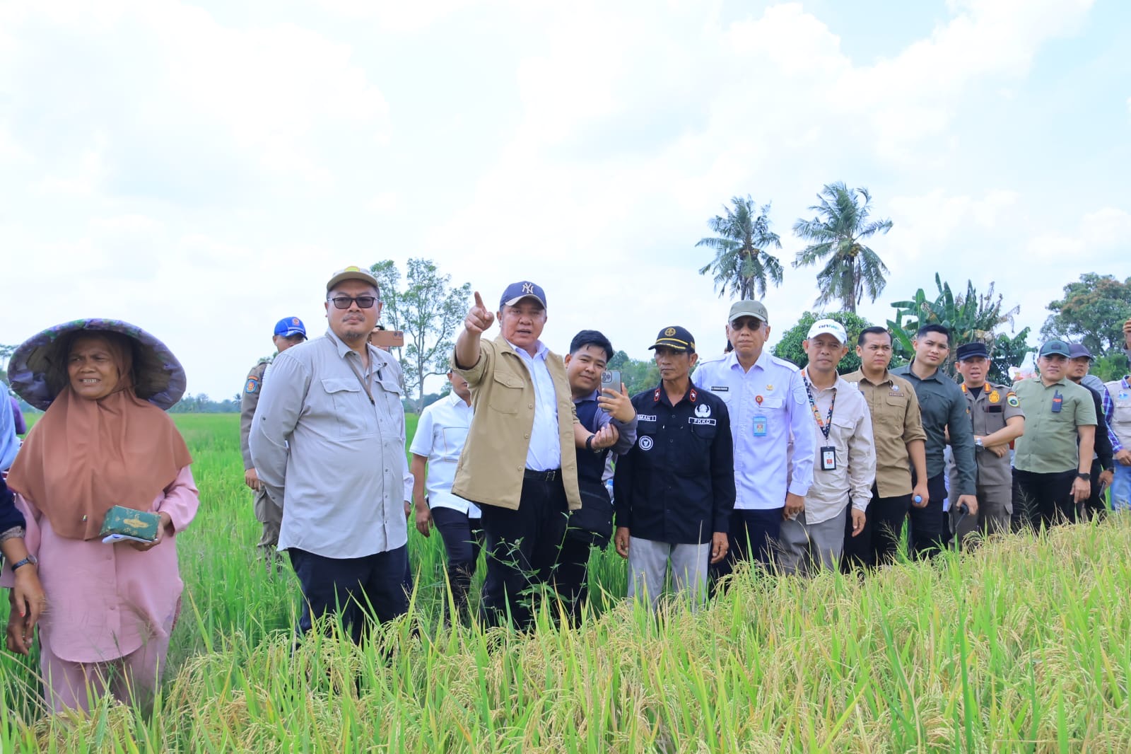 Gubernur Sumsel Panen Raya IP 200 di Desa Suka Cinta Kabupaten OKI